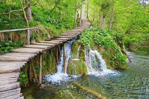 Guidad tur till Plitvicesjöarna från Zagreb