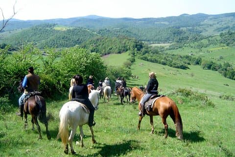 Horseback riding excursion