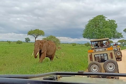 1-tägige Tour durch den Tarangire-Nationalpark