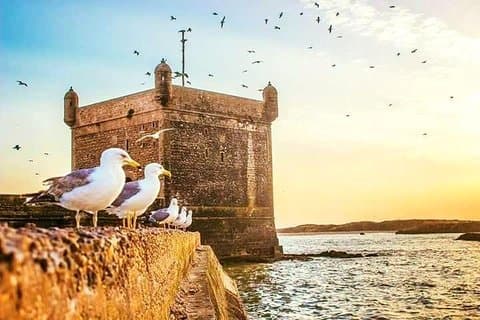 Day trip to Essaouira ( portugal city ) from agadir
