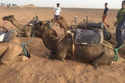 Marrakesch nach Zagora 2 Tage Wüstentour