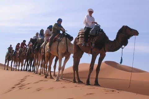 Tours por el desierto de Marrakech