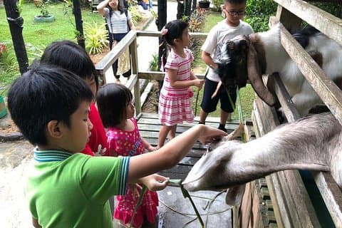 Johor Day Tour - Lasertag, Fazenda Ecológica, Kart [Carro]