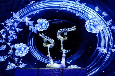 Acrobatics Show with Private Driver Service and Hotel Round Transfer