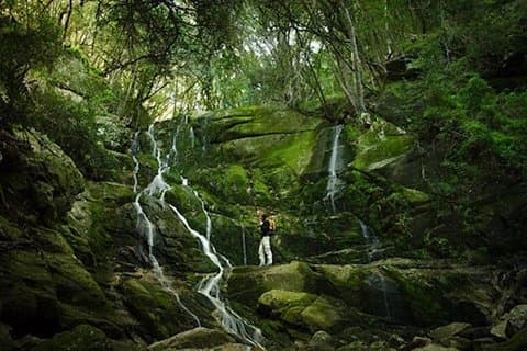 Skeleton Gorge a la cumbre de Table Mountain