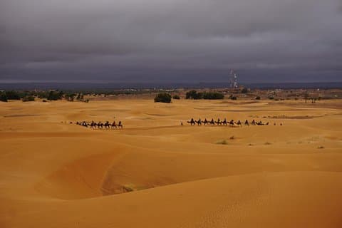 Fes to Marrakech Desert Tours