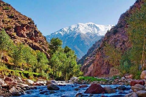 Ourika-vallei: dagtrip naar het Atlasgebergte vanuit Marrakech