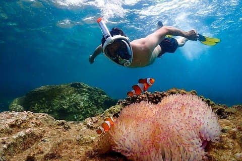 Expérience sur l'île Nemo avec photos de drones et déjeuner