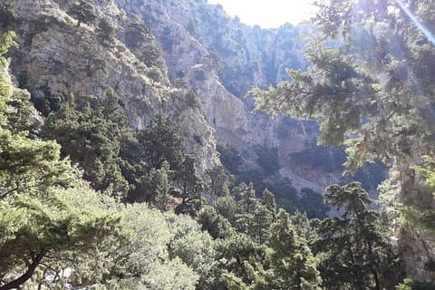 Vandra Imbros Gorge and Beach Private Tour (pris per grupp om 6)
