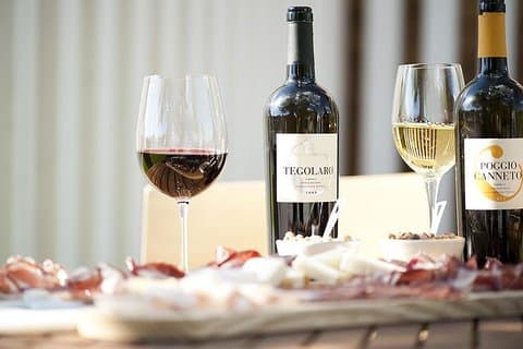 Degustação de vinhos na adega