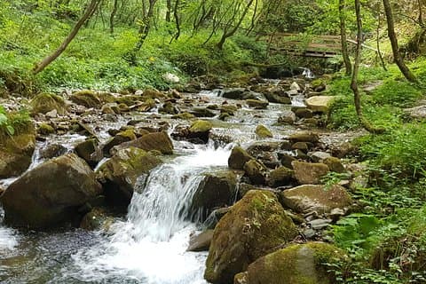 Visite de Mavrovo, de la cascade Duf et du monastère Bigorski au départ de Skopje