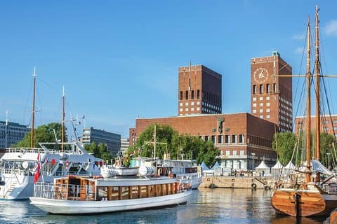 Visite privée touristique d'Oslo et du musée des navires vikings