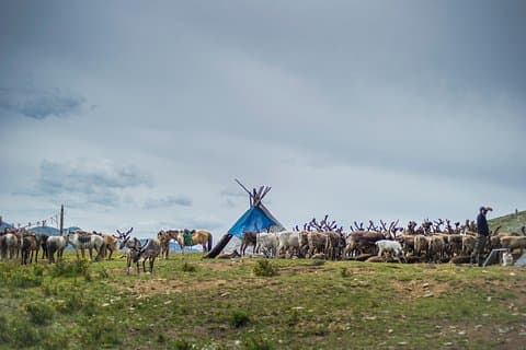 19 Days Reindeer Tribe Horse Trek- Northern Mongolia Adventure
