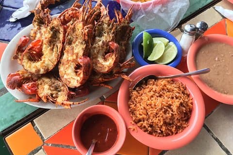 Excursão privada de lagosta, margaritas e mariachi em Puerto Nuevo