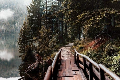Nord Montenegro Tour: Žabljak - NP Durmitor - Black Lake - Đurđevića Tara Bridge