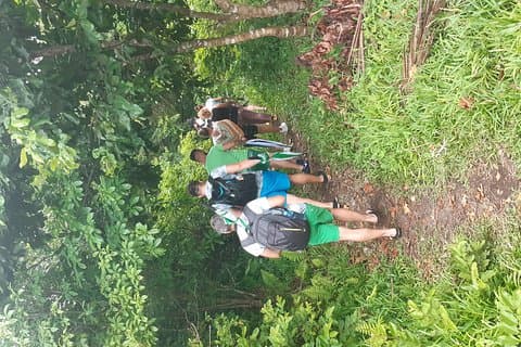 Visite de la forêt de Jozani et des épices