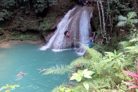 Island Gully Falls en Columbus Park Day Adventure