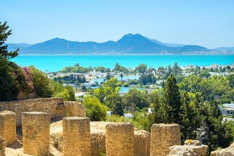 From Hammamet or Tunis: Carthage, Bardo, Sidi Bou said and Medina