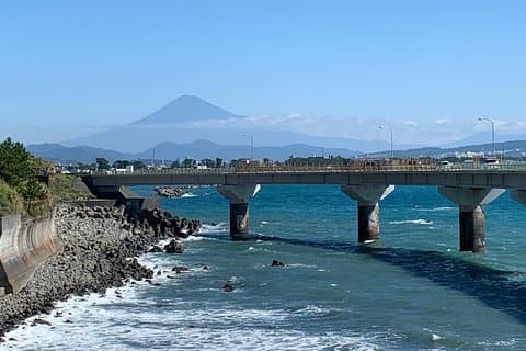 Visite guidée en vélo hybride dans la ville de Shizuoka (Remarque : pas de vélos électriques)