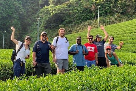 Visite guidée à vélo d'une ferme de thé vert à Shizuoka (pas de vélos électriques)