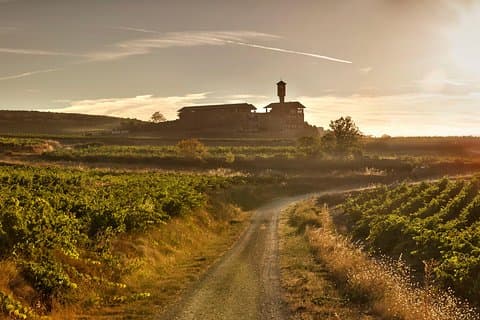 Rioja wine tour: winery & Laguardia with lunch from Vitoria