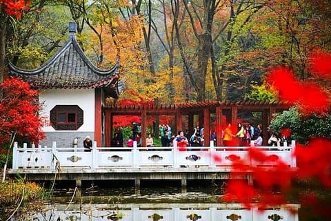 Nanjing Purple Mountain privat tur med Tangshan Hot Spring Spa Experience