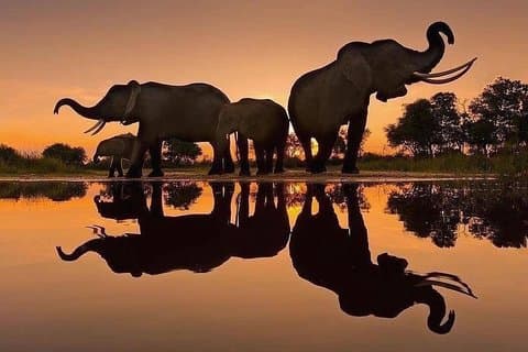 Excursión de un día a Ngorongoro con experiencias masai