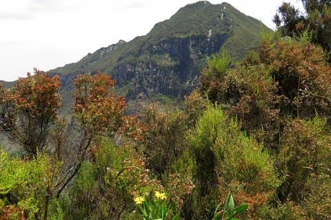 Caminhada de 1 dia até o Monte Longonot