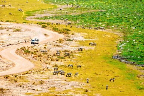 2 dage Amboseli Getaway
