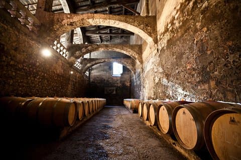 Chateau du Taillan og Park herunder vinsmagningstur