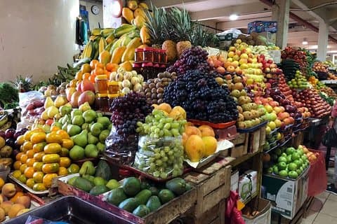 Gastronomische Tour: Testen Sie Ihre Sinne