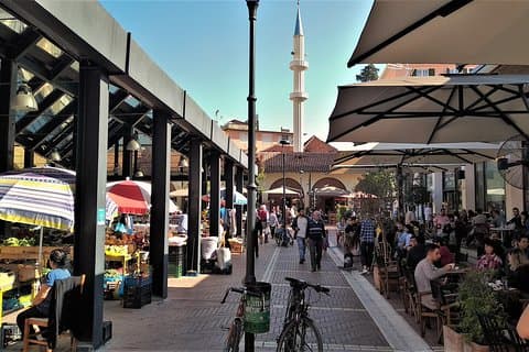 Tirana-Rundgang, Verkostung von extra nativem Olivenöl und Raki