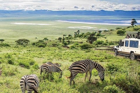 7 dager / 6 netter safari til Tarangire / Lakearaara / Ngorongoro / Serengeti