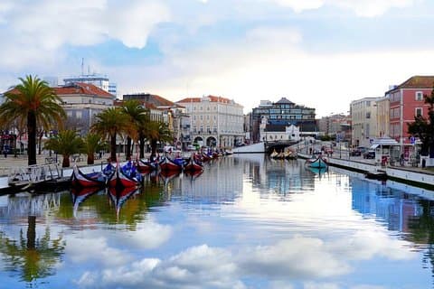 Excursion d'une journée à Aveiro / Coimbra et Figueira da Foz