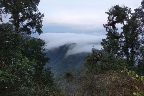 Phulchowki Vandring
