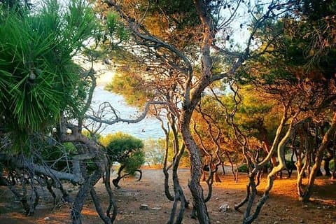 Andromeda ervaringen: VIP Sunset Fotowandeling Gouden Uur van Paros