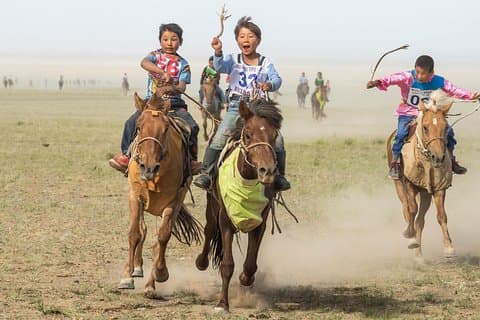 1 dag Mini Naadam Festival 2026 & Nomadic Culture Experience