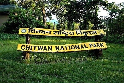 Jeep Safari nel Parco nazionale di Chitwan