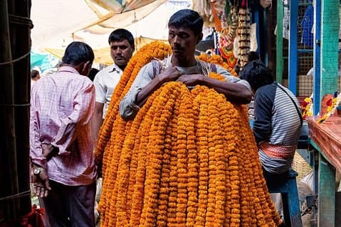 Kolkatas blomstermarknad - Hooghly's Flower Fest Tour
