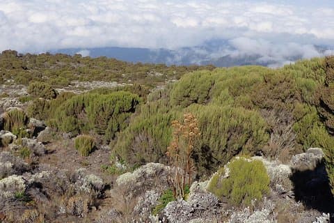 マチャメルート経由の1日キリマンジャロ登山