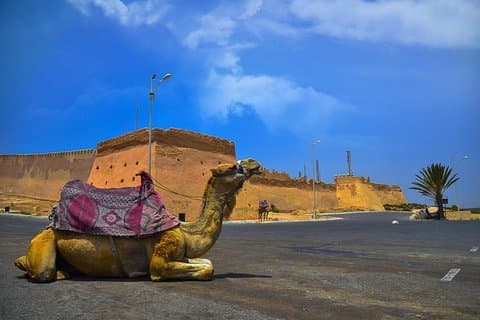 Tour della città di Agadir, Croco park e Massage Hamam (pacchetto)