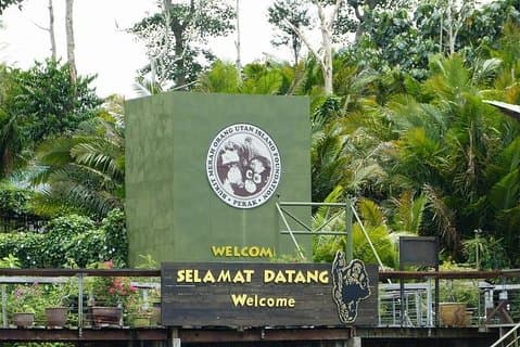 Bukit Merah Orang Utan Island e tour della città di Ipoh
