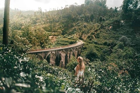 Excursion d'une journée à Nine Arch Bridge, Ella Rock et Little Adam's Peak avec déjeuner