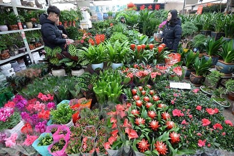 Visite du parc mondial et du marché aux fleurs de Pékin avec service de chauffeur privé