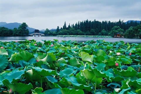 Excursion de 144 heures sans visa à Shanghai Suzhou Hangzhou depuis l'aéroport