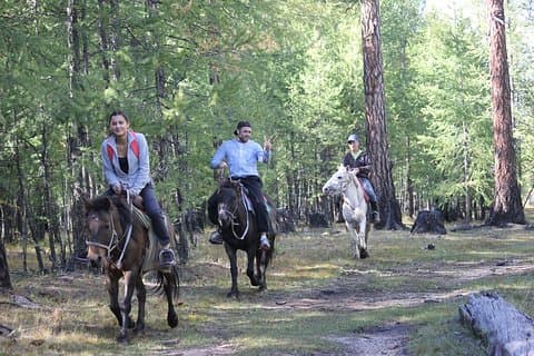 7 dagers hestetur i Mongolian Heartland og nomadisk liv