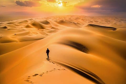 10 Days Gobi Desert and Central Mongolia Highlights Tour