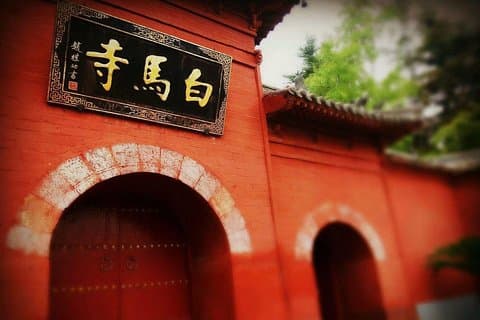 Privat 3-dagers Henan-tur med Shaolin Temple, Longmen Grottoes og MER!