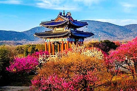 Nanjing Purple Mountain Private Wanderung mit Mittagessen und Seilbahn