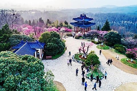 Private In-Depth Day Tour of Nanjing Purple Mountain with Lunch